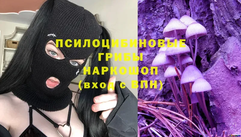 наркошоп  Анадырь  Галлюциногенные грибы Magic Shrooms 